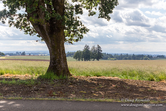 Victor Point Rd & Ranch