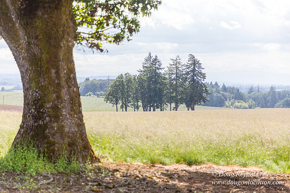 Victor Point Rd & Ranch