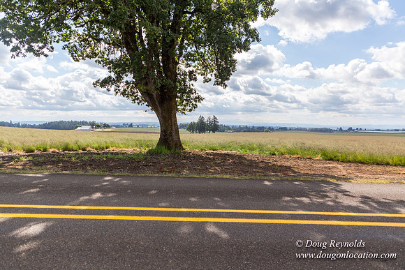 Victor Point Rd & Ranch