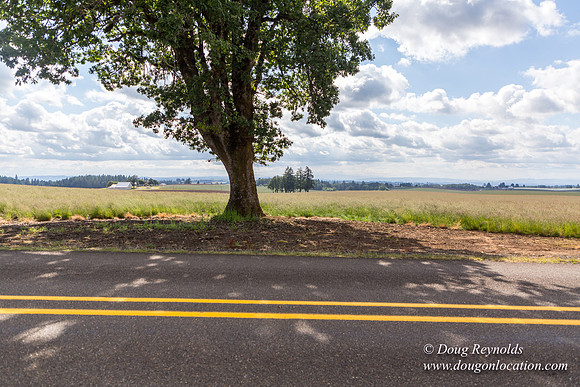 Victor Point Rd & Ranch