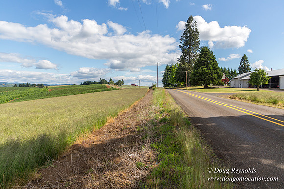 Victor Point Rd & Ranch