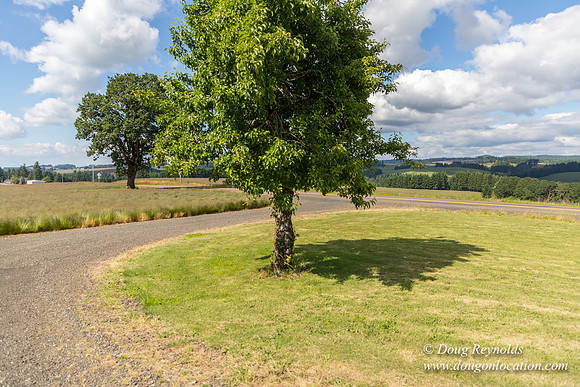 Victor Point Rd & Ranch