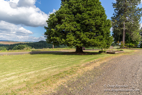 Victor Point Rd & Ranch