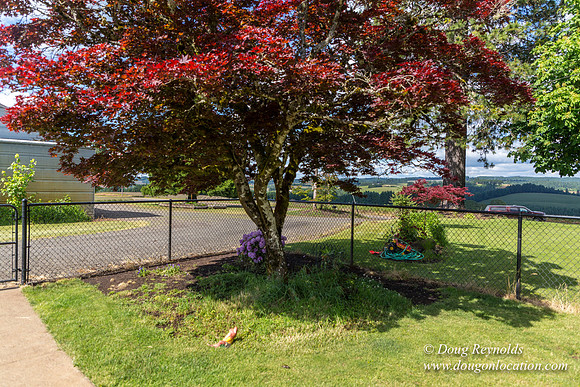 Victor Point Rd & Ranch