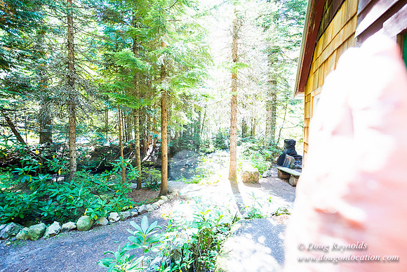 Karri's Cabin