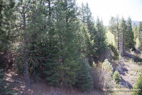 Ranch 18