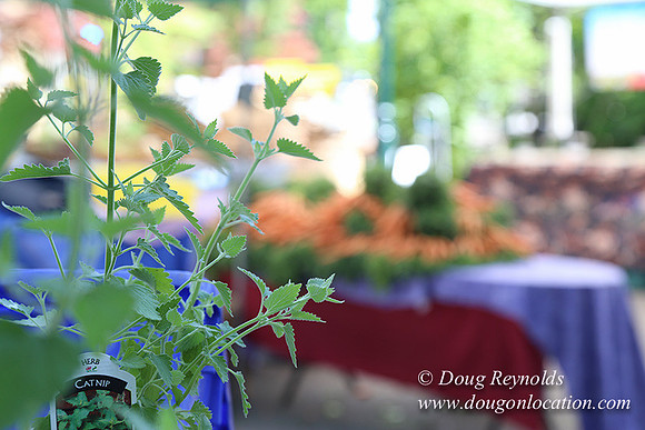 Portland PSU Farmers Mkt-5857