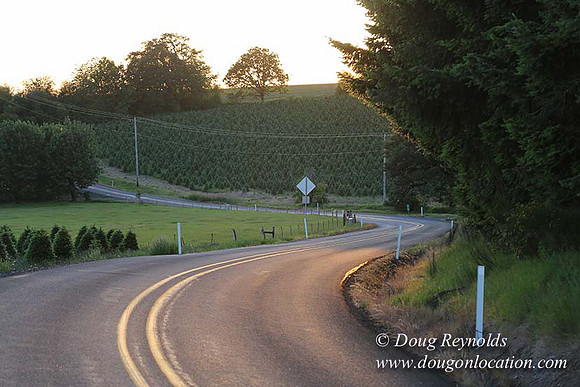 Hwy 214 M18-7655