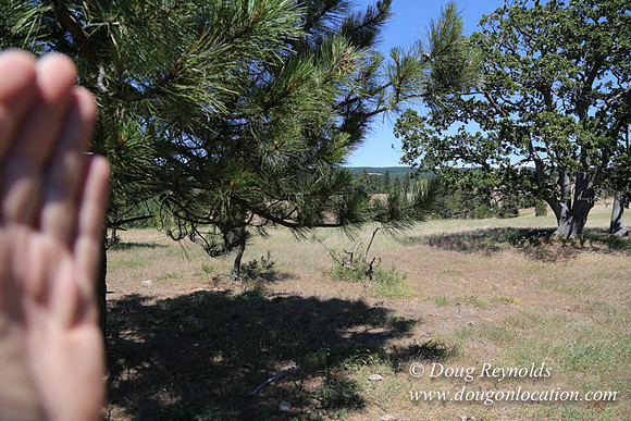 Brothers Ranch-8502