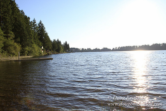 Boat, Cabin, Dock, Home, "House lake", WA, Washington, Yard, deck, "green. Beach" Vacation