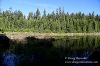 Clear Lake-3545