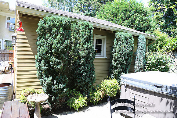 Ben's House-6639