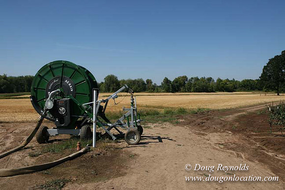 Farm 4 has Barns Shops they grow Wheat and Corn.  in the Portland Zone