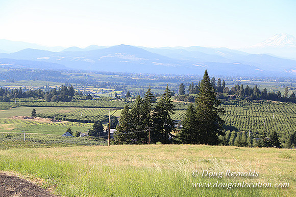 Both Hill Rd-8614