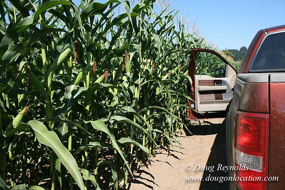 Farm 4 has Barns Shops they grow Wheat and Corn.  in the Portland Zone