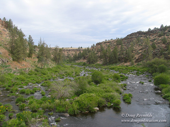 Ranch 1