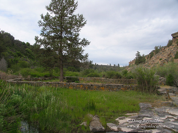 Ranch 1