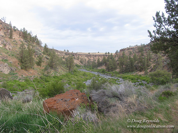 Ranch 1