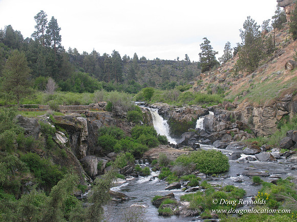 Ranch 1
