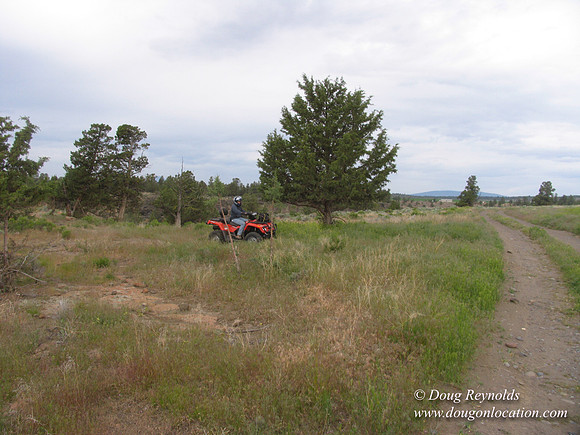 Ranch 1