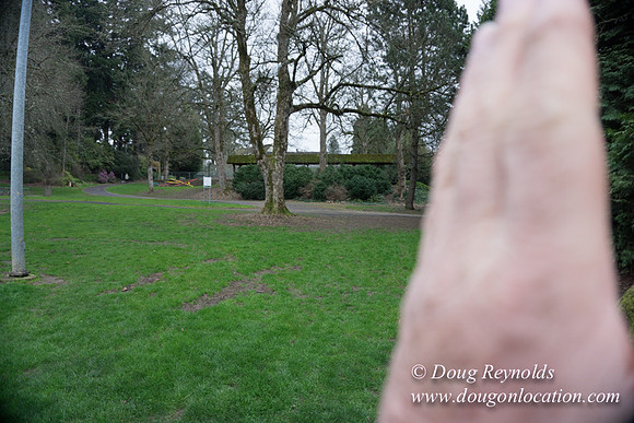 Sellwood Park-2305