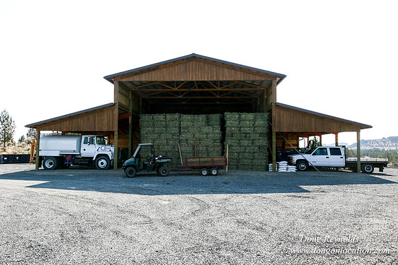 Ranch 8