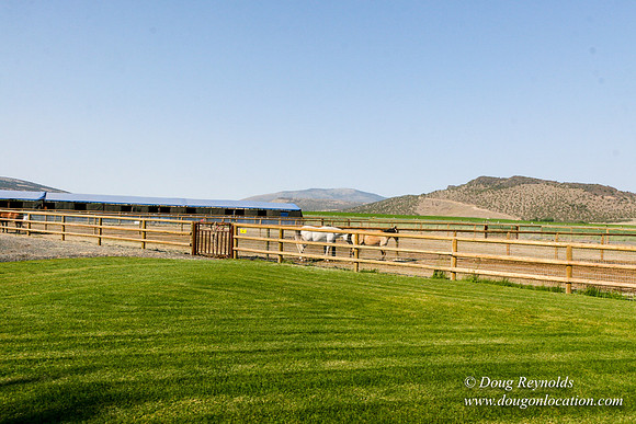 Ranch 8