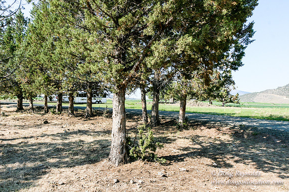 Ranch 8