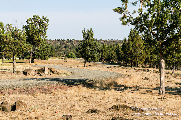 Ranch 8