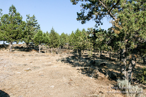 Ranch 8