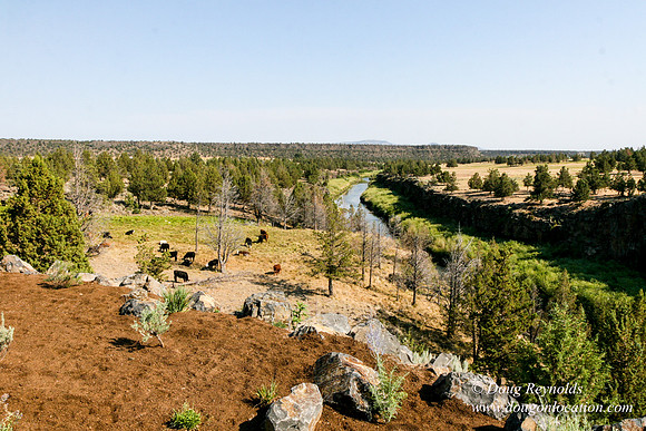 Ranch 8