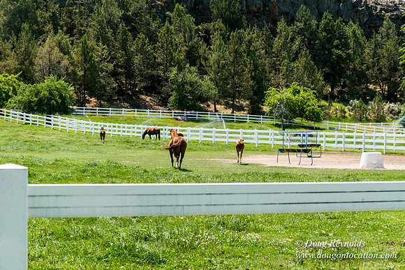 Ranch 23