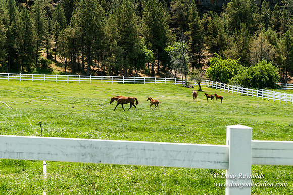 Ranch 23