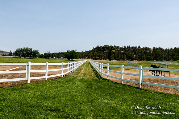 Ranch 23