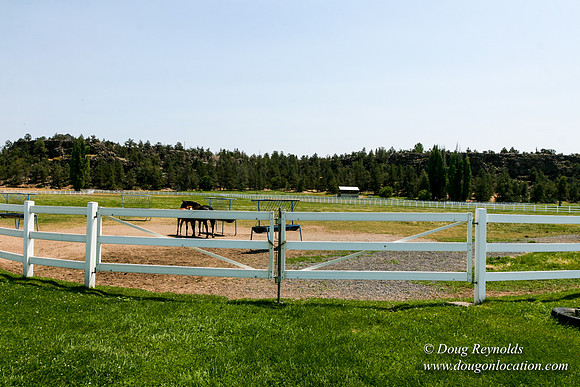 Ranch 23