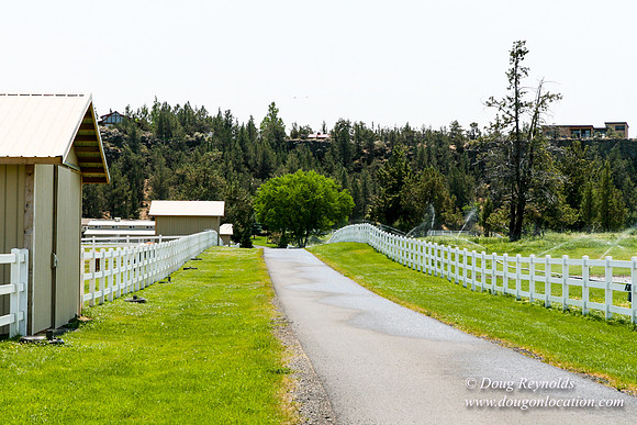 Ranch 23