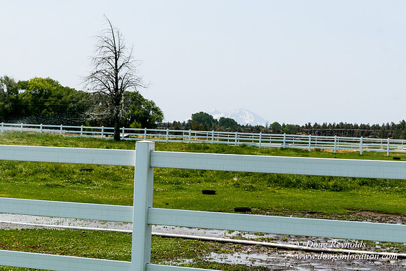Ranch 23