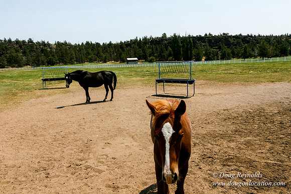 Ranch 23
