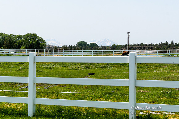 Ranch 23