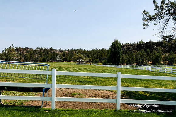 Ranch 23