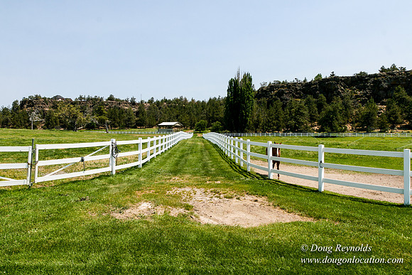 Ranch 23