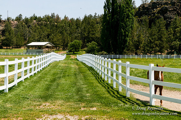 Ranch 23