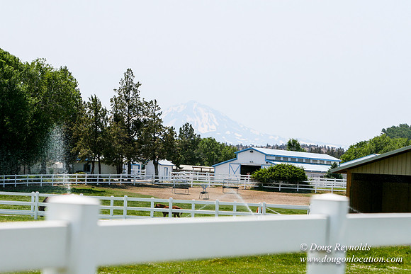 Ranch 23