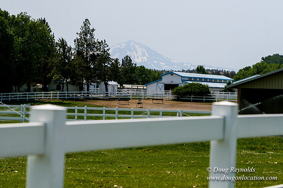 Ranch 23