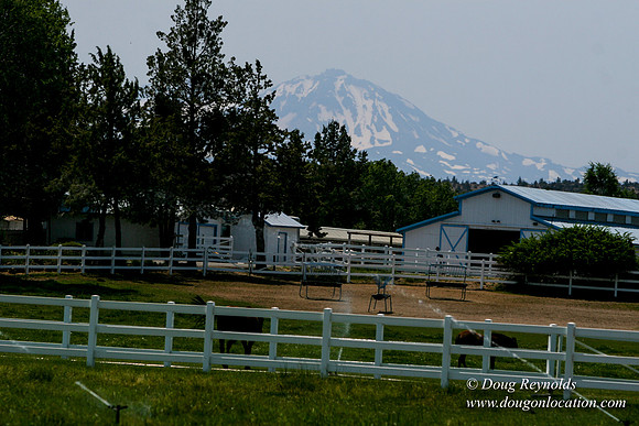 Ranch 23