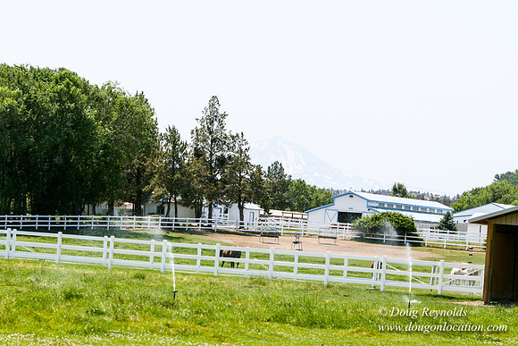 Ranch 23
