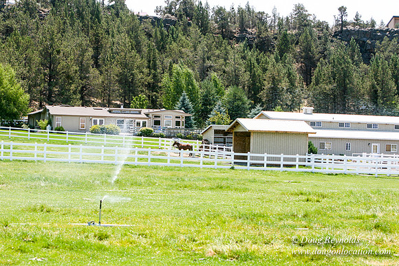 Ranch 23