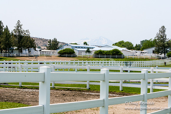 Ranch 23