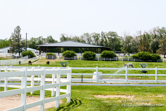 Ranch 23
