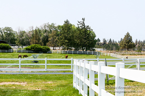 Ranch 23